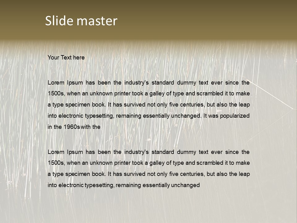 Fairgrounds Size Enjoyment PowerPoint Template