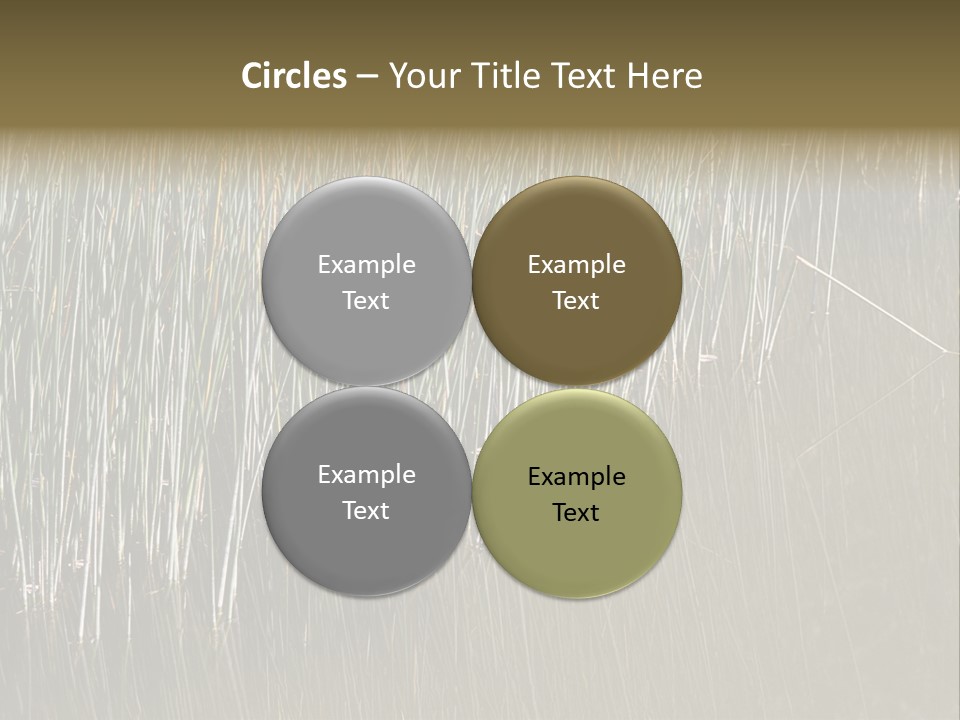 Fairgrounds Size Enjoyment PowerPoint Template