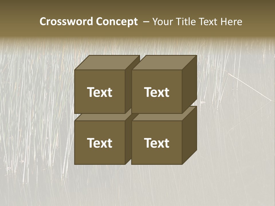 Fairgrounds Size Enjoyment PowerPoint Template