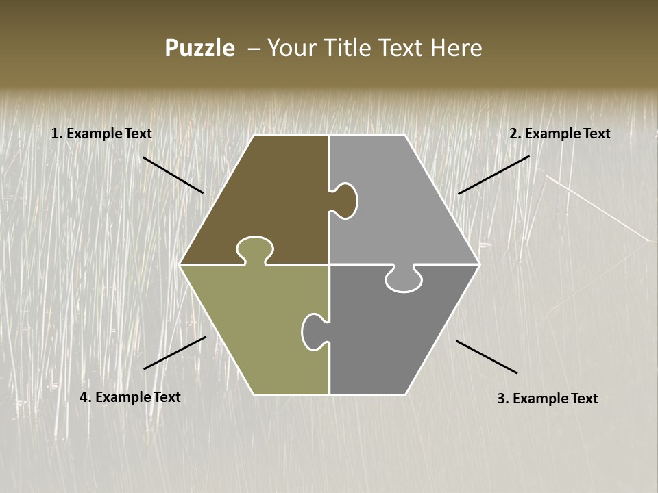 Fairgrounds Size Enjoyment PowerPoint Template