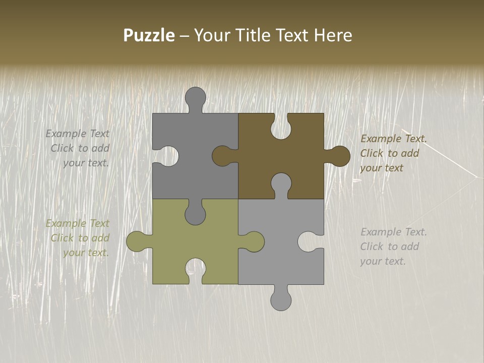 Fairgrounds Size Enjoyment PowerPoint Template