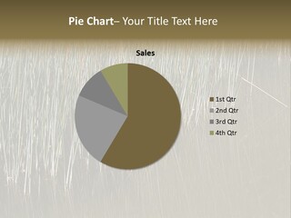 Fairgrounds Size Enjoyment PowerPoint Template