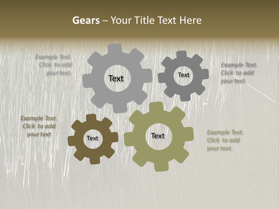 Fairgrounds Size Enjoyment PowerPoint Template