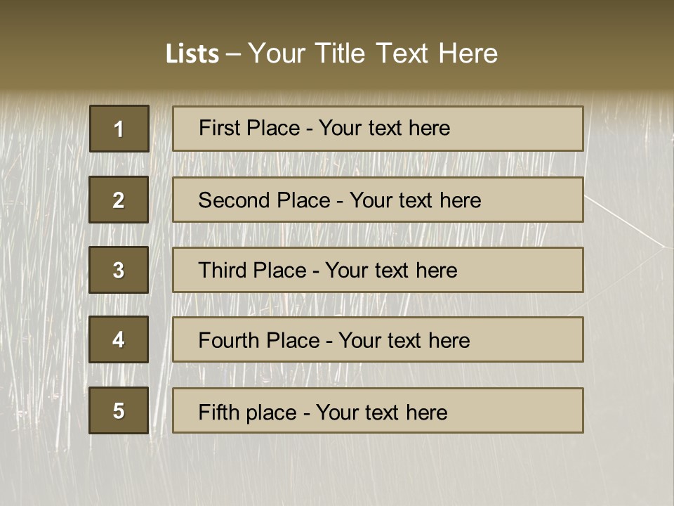 Fairgrounds Size Enjoyment PowerPoint Template