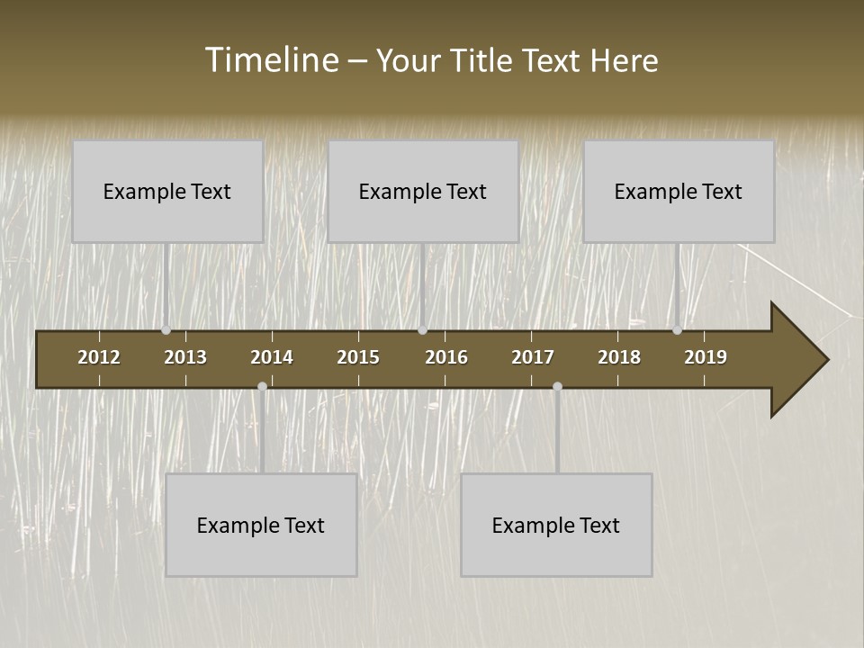 Fairgrounds Size Enjoyment PowerPoint Template