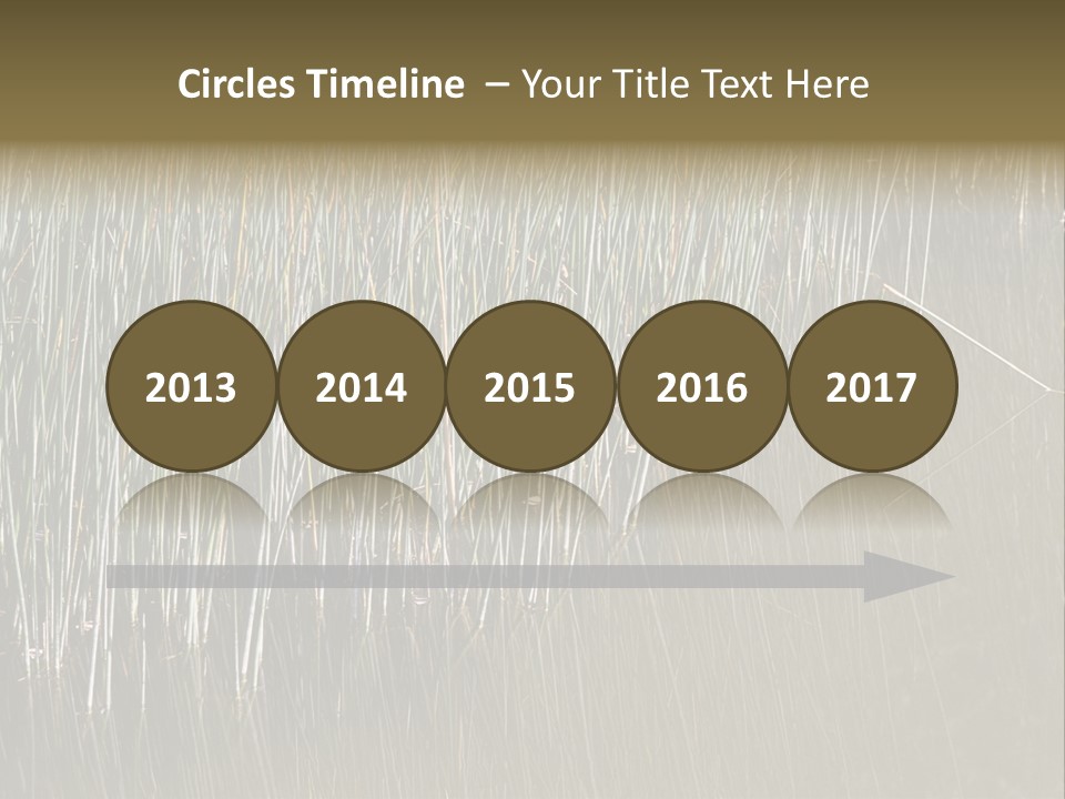 Fairgrounds Size Enjoyment PowerPoint Template