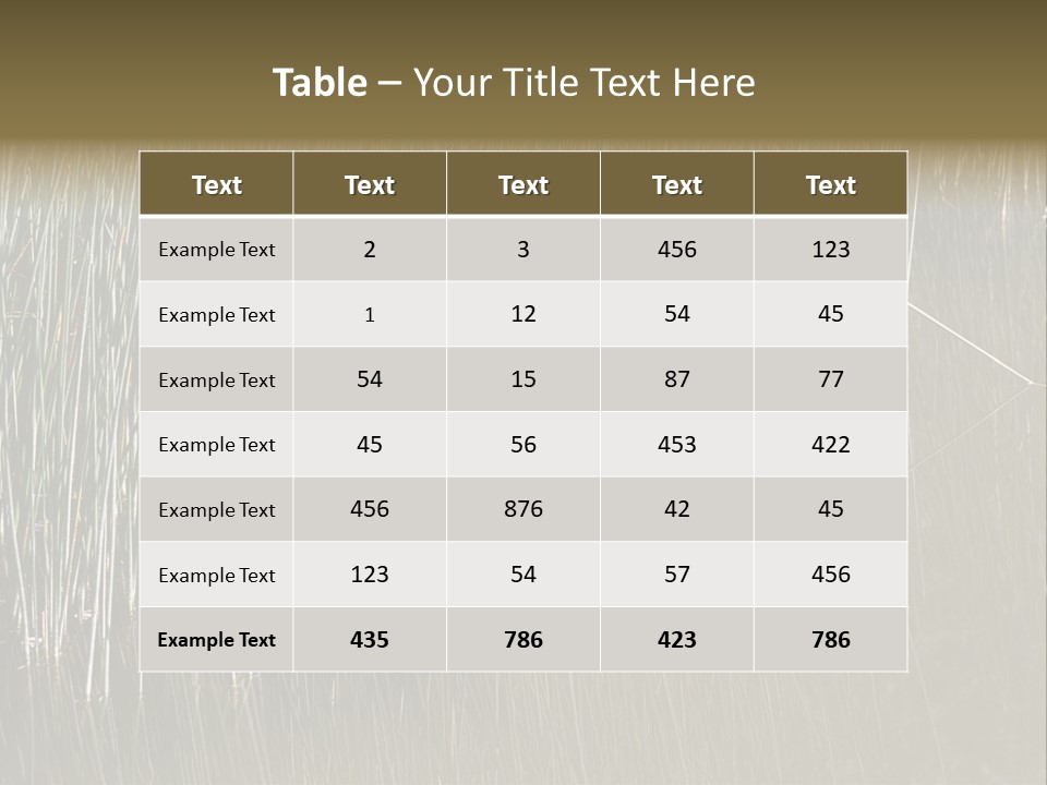 Fairgrounds Size Enjoyment PowerPoint Template