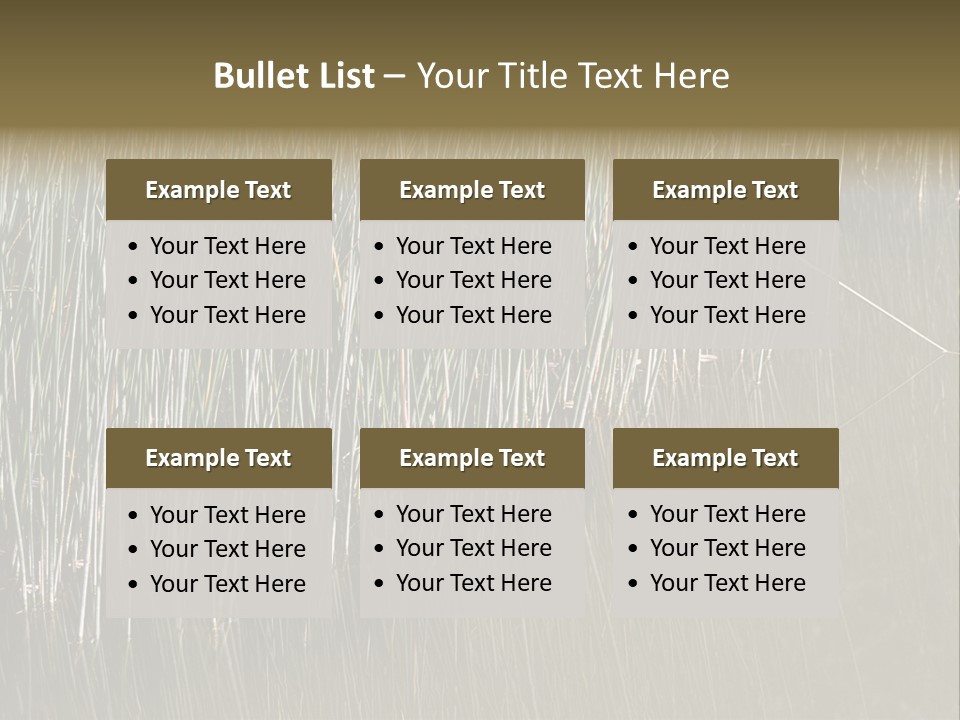 Fairgrounds Size Enjoyment PowerPoint Template