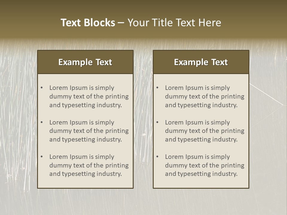 Fairgrounds Size Enjoyment PowerPoint Template