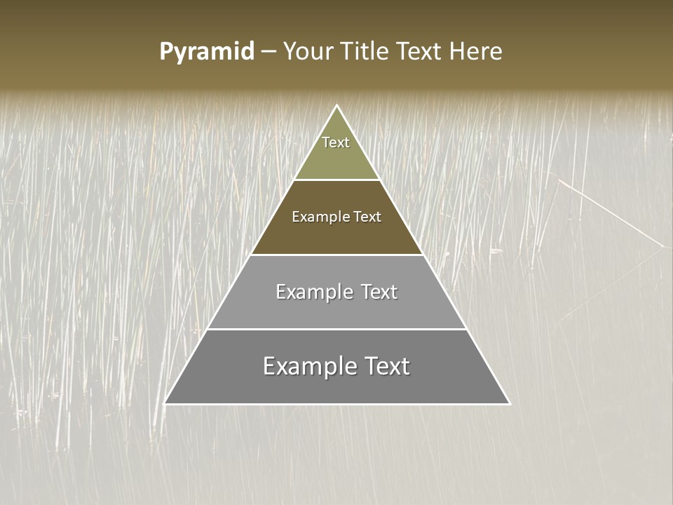 Fairgrounds Size Enjoyment PowerPoint Template
