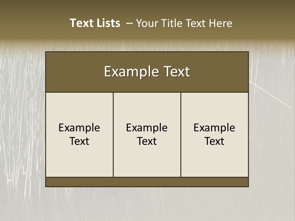 Fairgrounds Size Enjoyment PowerPoint Template