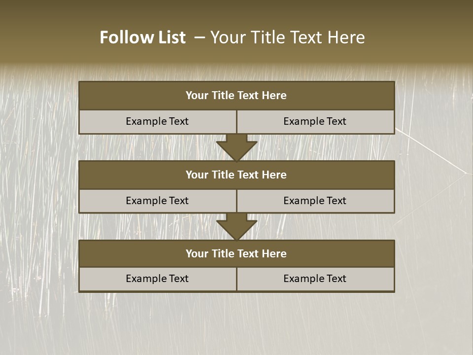 Fairgrounds Size Enjoyment PowerPoint Template