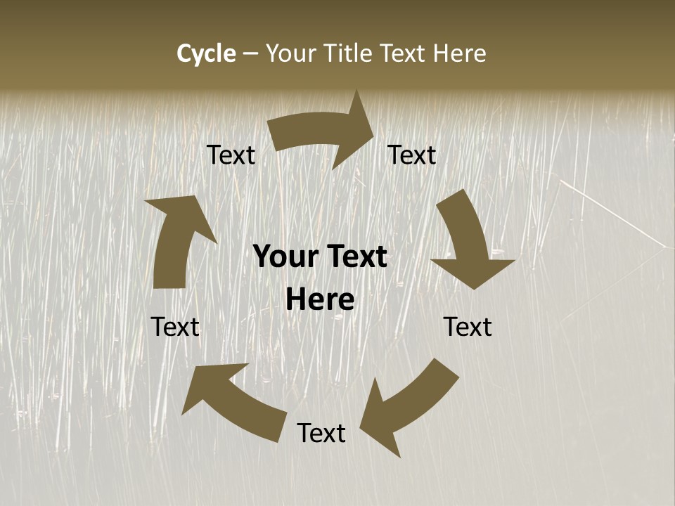 Fairgrounds Size Enjoyment PowerPoint Template