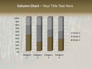 Fairgrounds Size Enjoyment PowerPoint Template