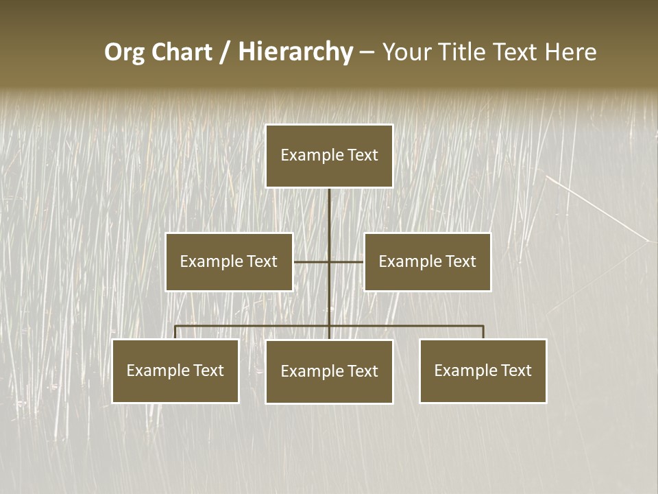 Fairgrounds Size Enjoyment PowerPoint Template