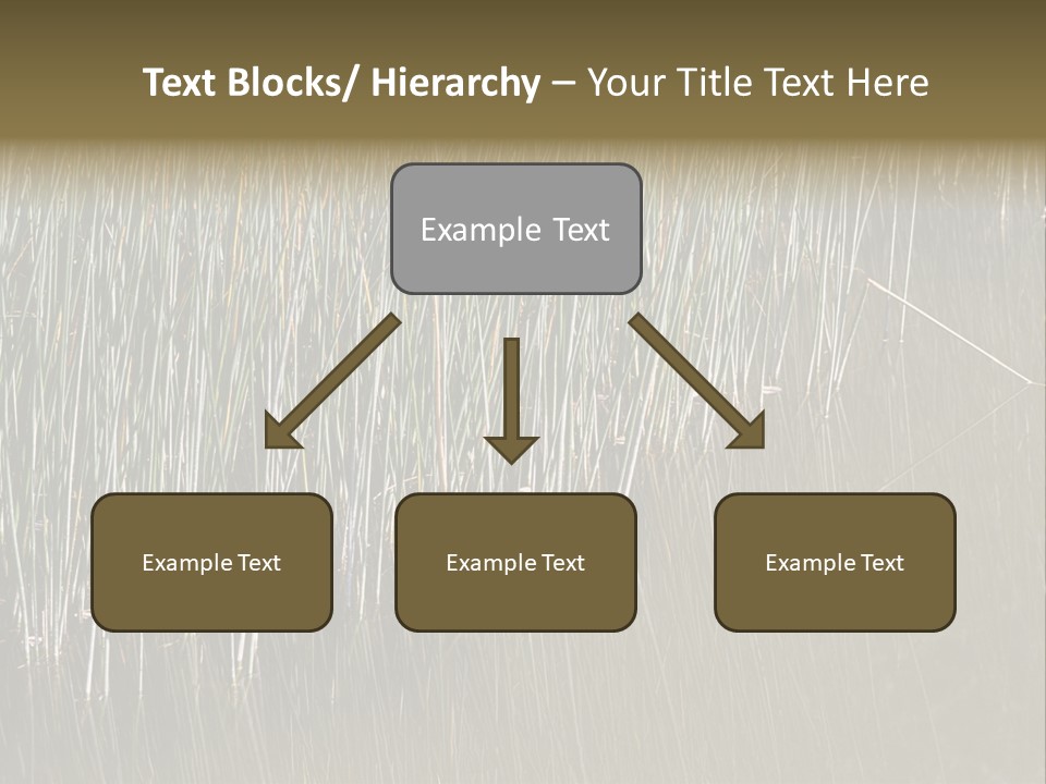 Fairgrounds Size Enjoyment PowerPoint Template