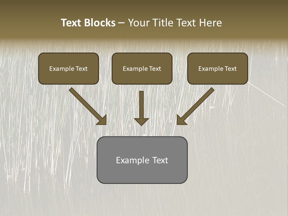 Fairgrounds Size Enjoyment PowerPoint Template