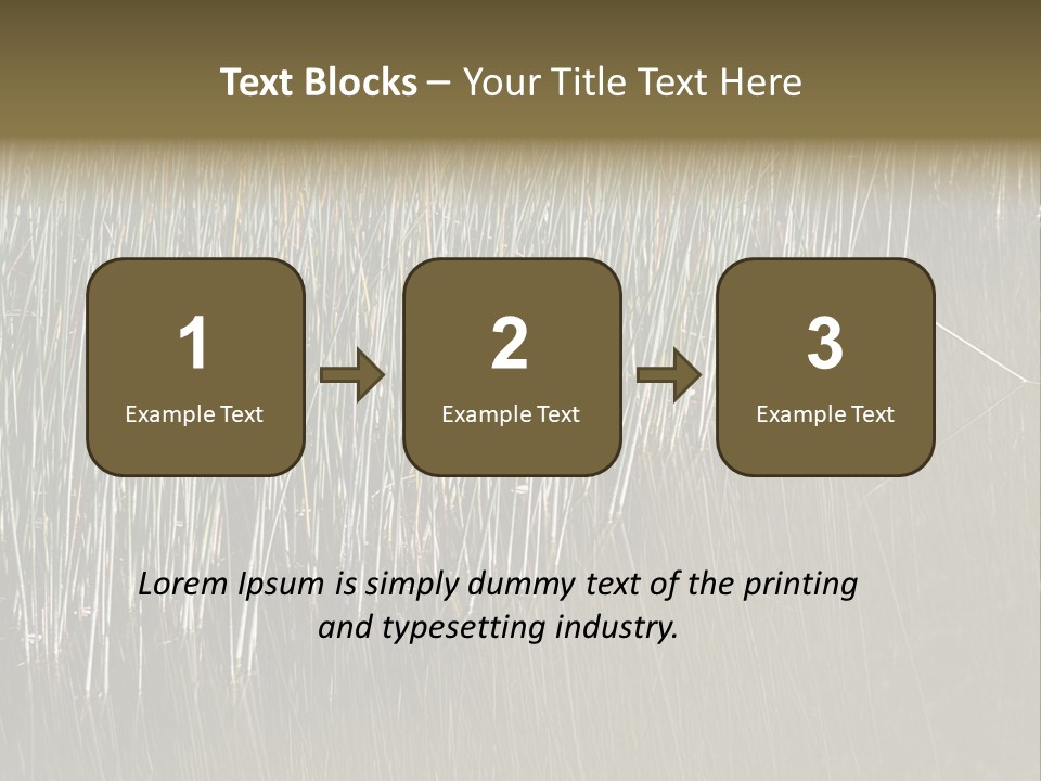 Fairgrounds Size Enjoyment PowerPoint Template