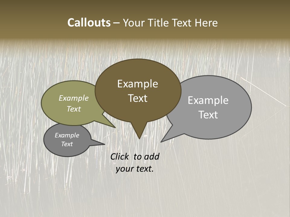 Fairgrounds Size Enjoyment PowerPoint Template