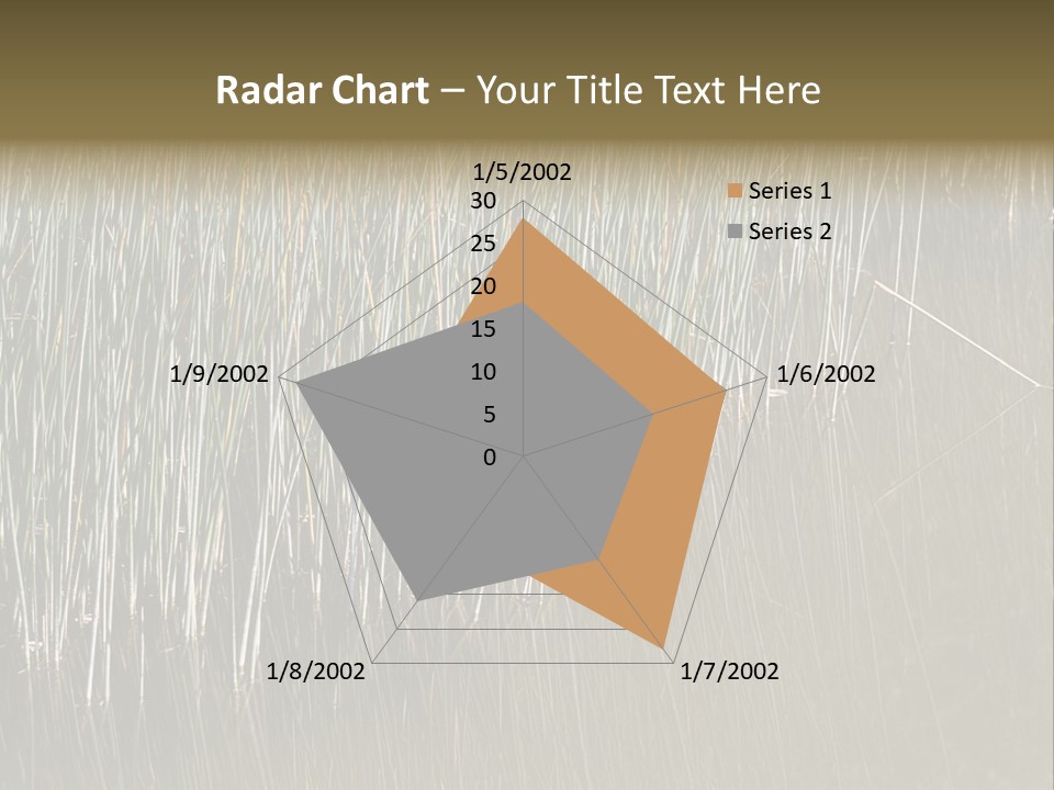 Fairgrounds Size Enjoyment PowerPoint Template