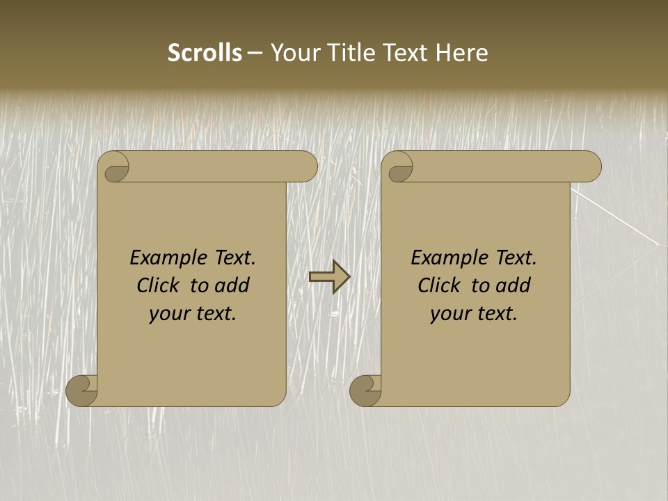 Fairgrounds Size Enjoyment PowerPoint Template