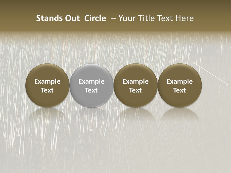 Fairgrounds Size Enjoyment PowerPoint Template