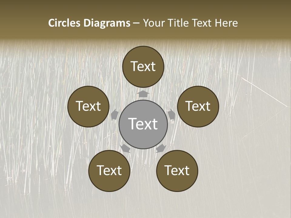Fairgrounds Size Enjoyment PowerPoint Template