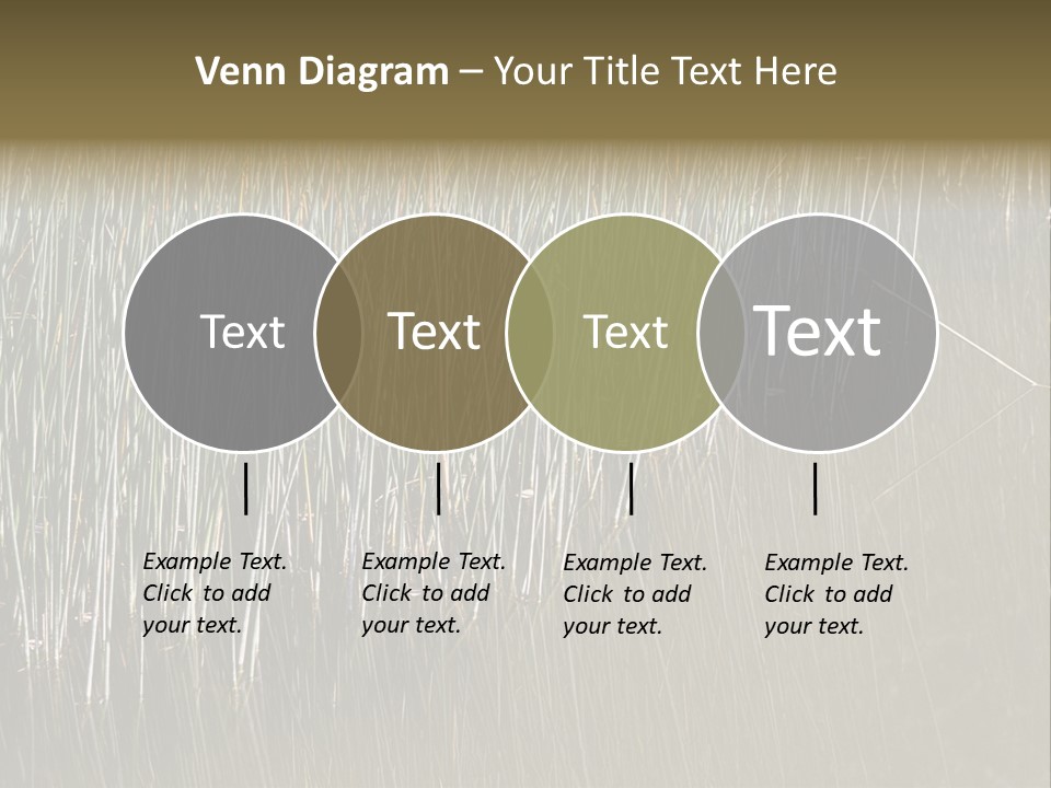 Fairgrounds Size Enjoyment PowerPoint Template