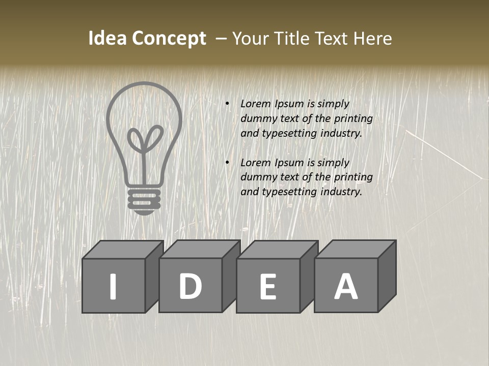 Fairgrounds Size Enjoyment PowerPoint Template