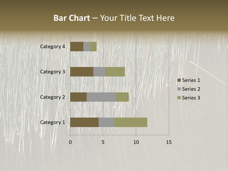 Fairgrounds Size Enjoyment PowerPoint Template