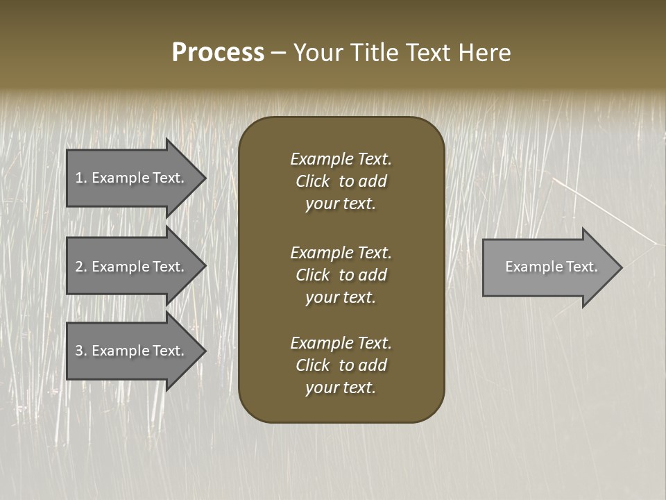 Fairgrounds Size Enjoyment PowerPoint Template