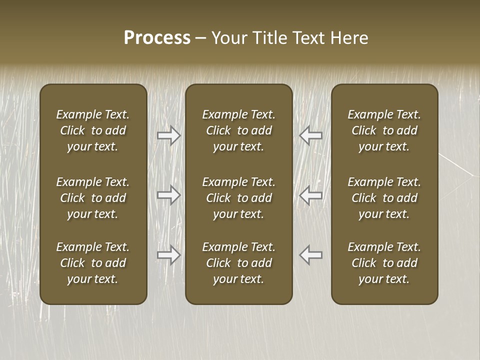 Fairgrounds Size Enjoyment PowerPoint Template