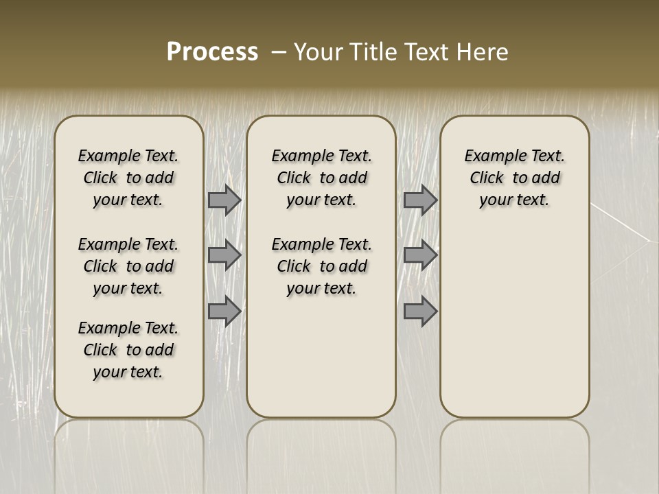 Fairgrounds Size Enjoyment PowerPoint Template
