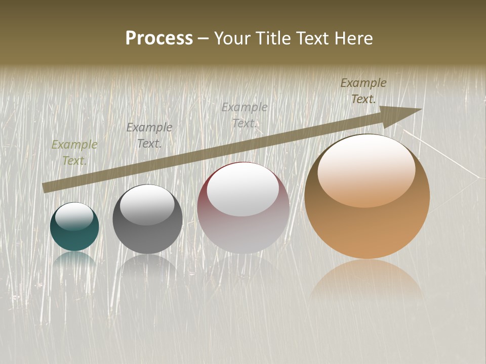 Fairgrounds Size Enjoyment PowerPoint Template