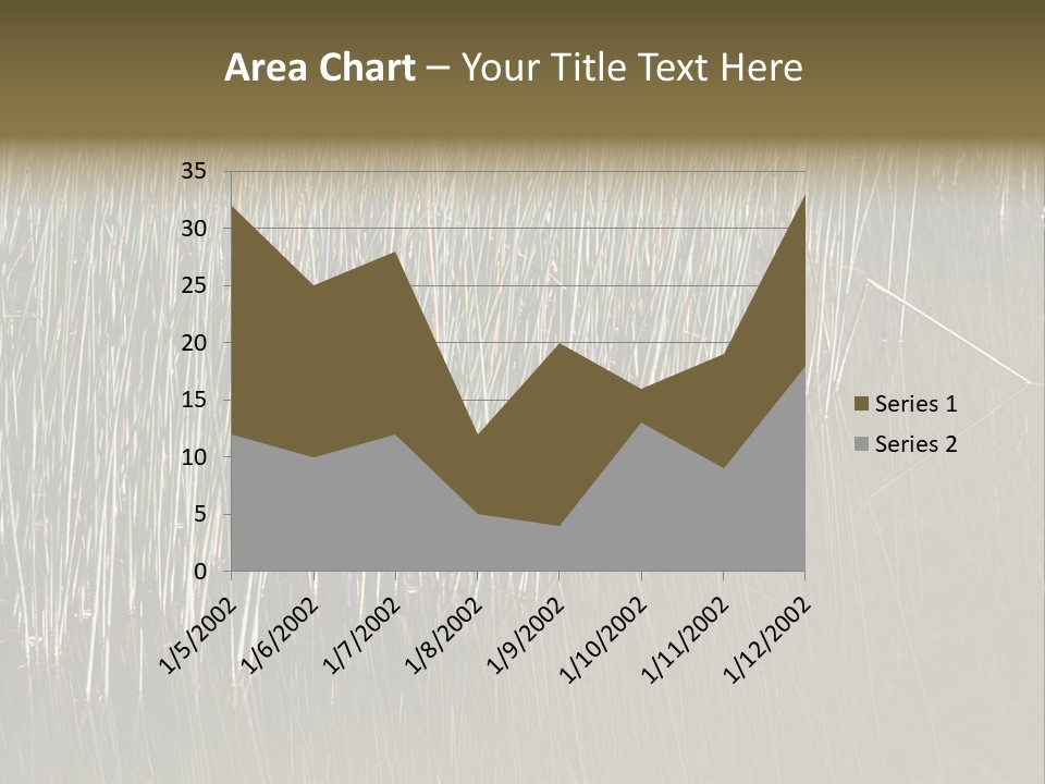 Fairgrounds Size Enjoyment PowerPoint Template