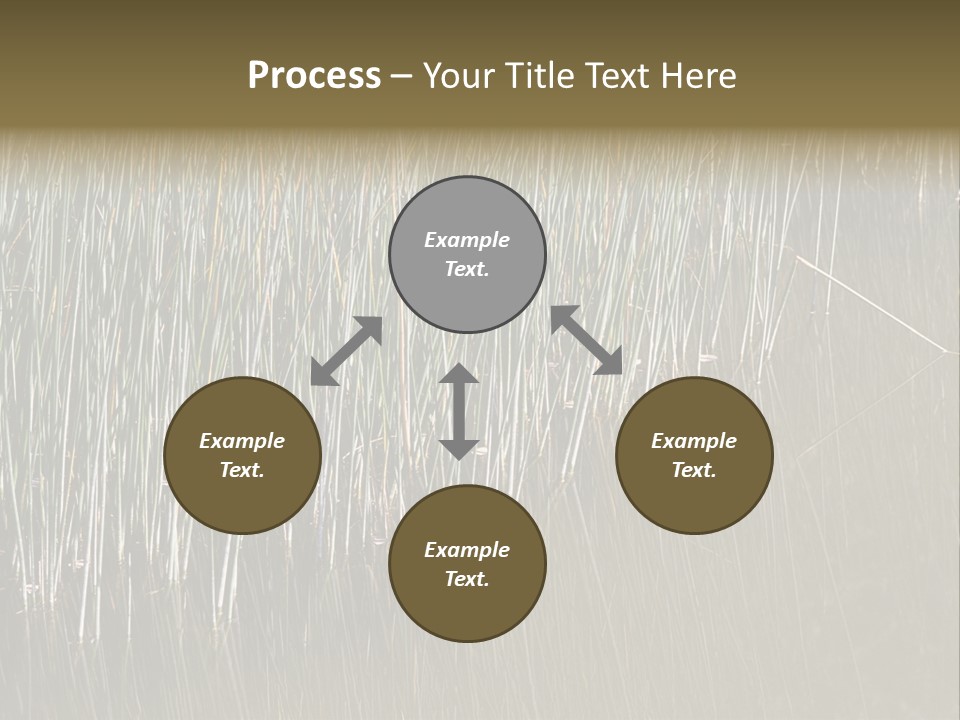 Fairgrounds Size Enjoyment PowerPoint Template