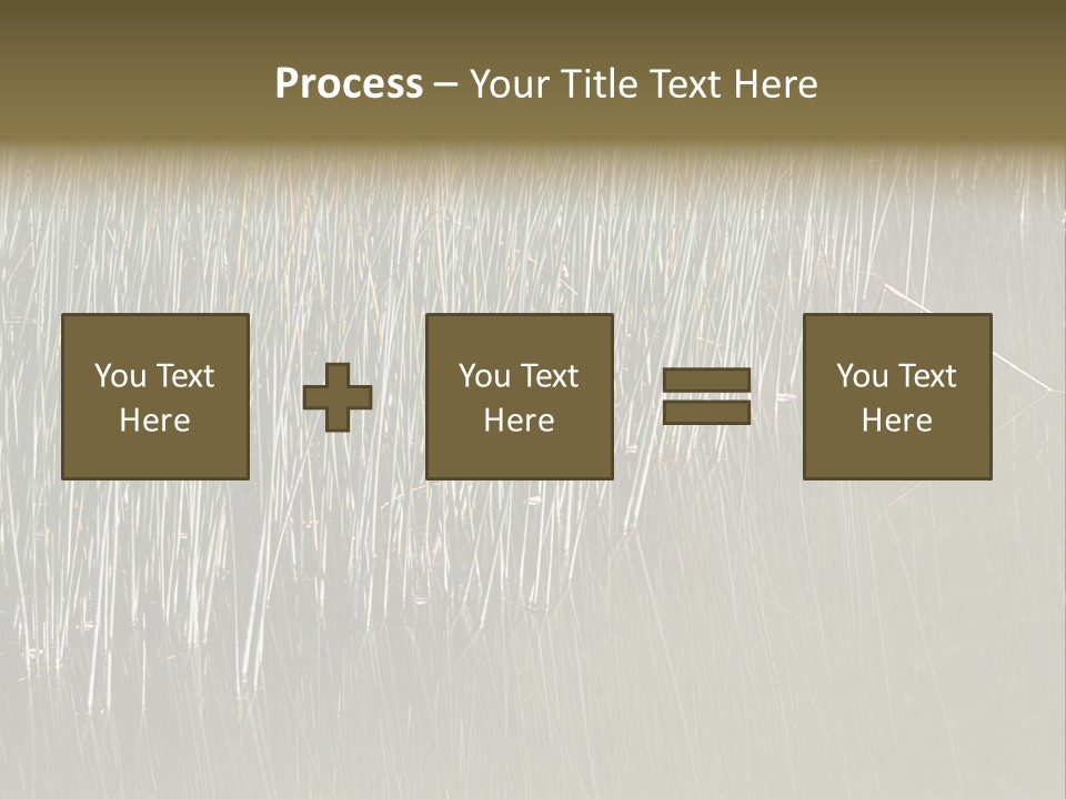 Fairgrounds Size Enjoyment PowerPoint Template