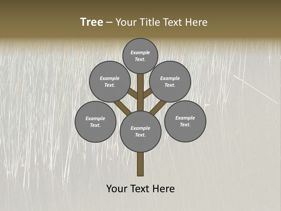 Fairgrounds Size Enjoyment PowerPoint Template