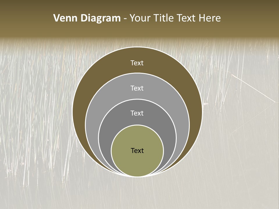Fairgrounds Size Enjoyment PowerPoint Template