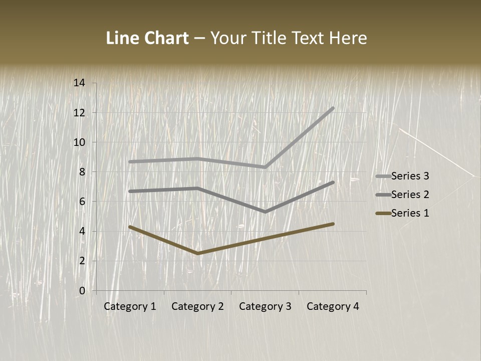 Fairgrounds Size Enjoyment PowerPoint Template