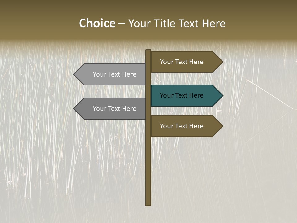 Fairgrounds Size Enjoyment PowerPoint Template