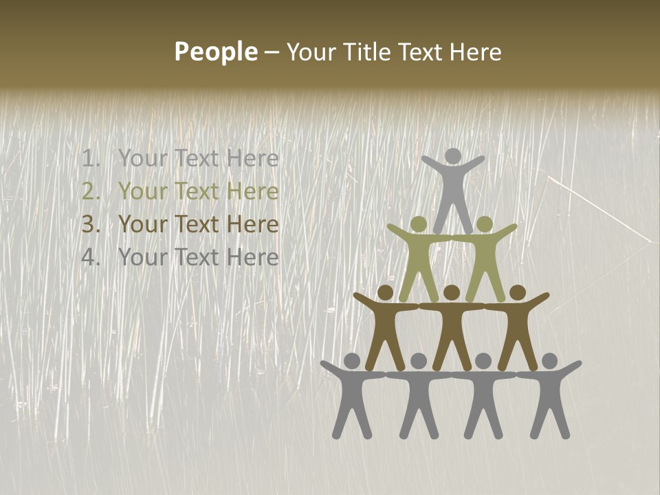 Fairgrounds Size Enjoyment PowerPoint Template