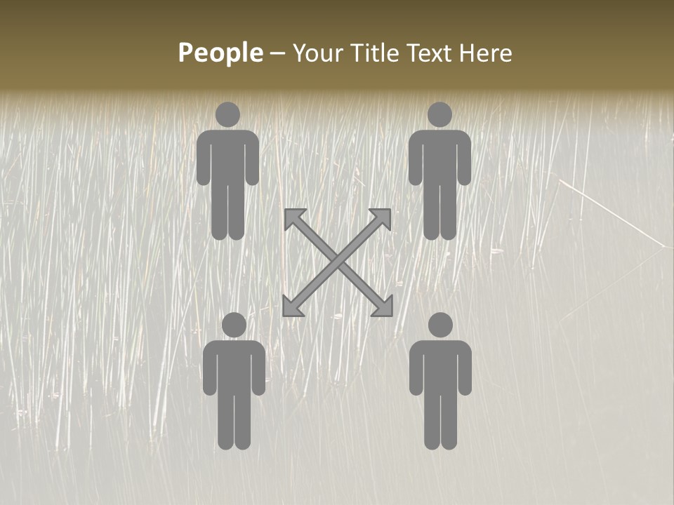 Fairgrounds Size Enjoyment PowerPoint Template