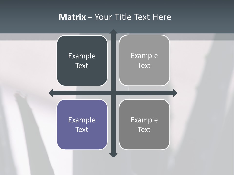 Outside Sizes Females PowerPoint Template