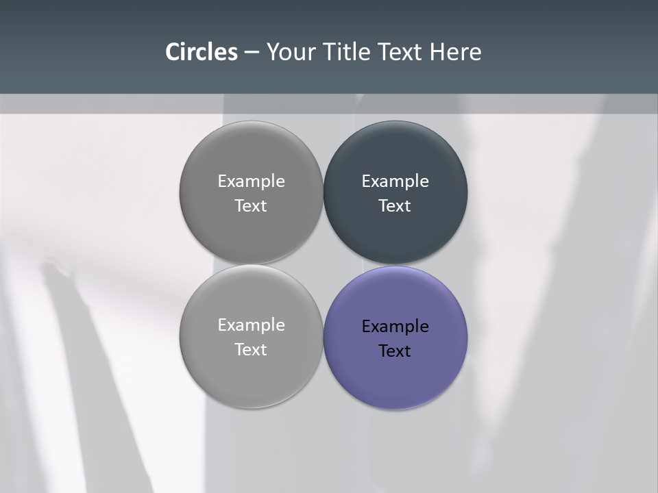 Outside Sizes Females PowerPoint Template