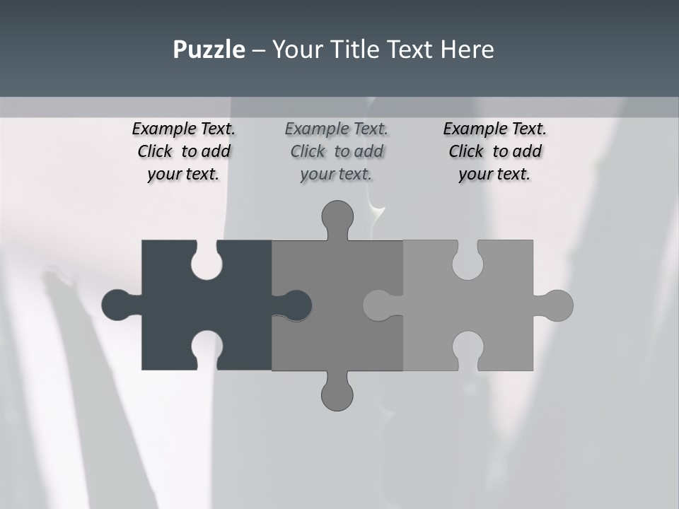 Outside Sizes Females PowerPoint Template