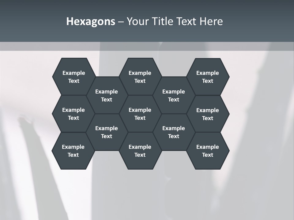 Outside Sizes Females PowerPoint Template