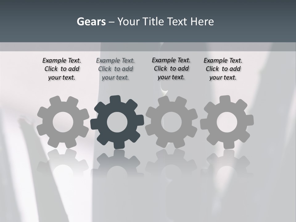 Outside Sizes Females PowerPoint Template