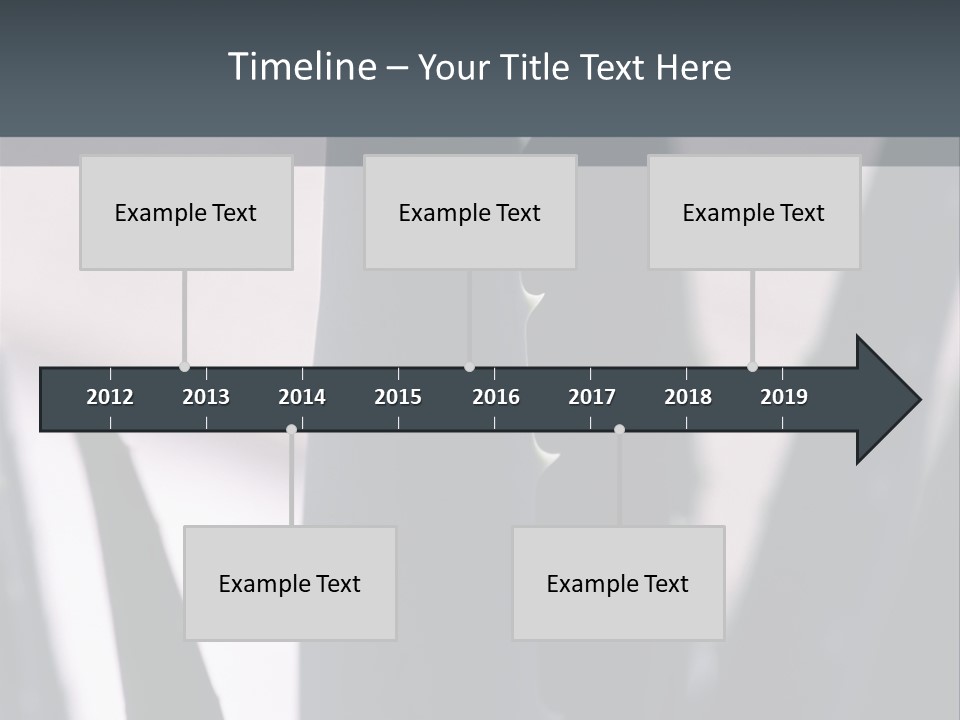 Outside Sizes Females PowerPoint Template