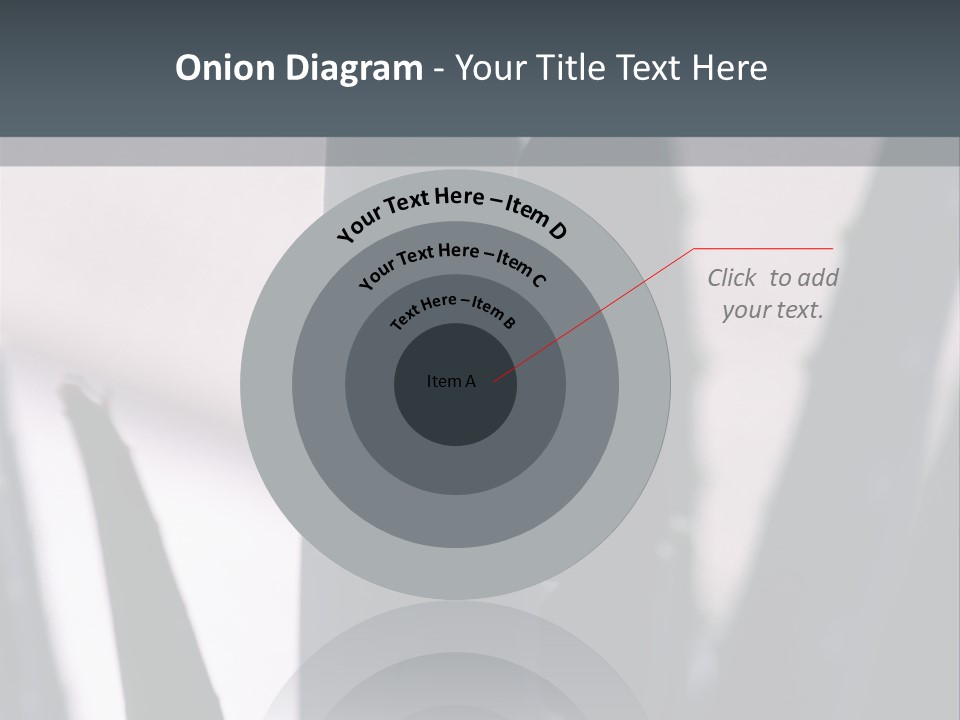 Outside Sizes Females PowerPoint Template